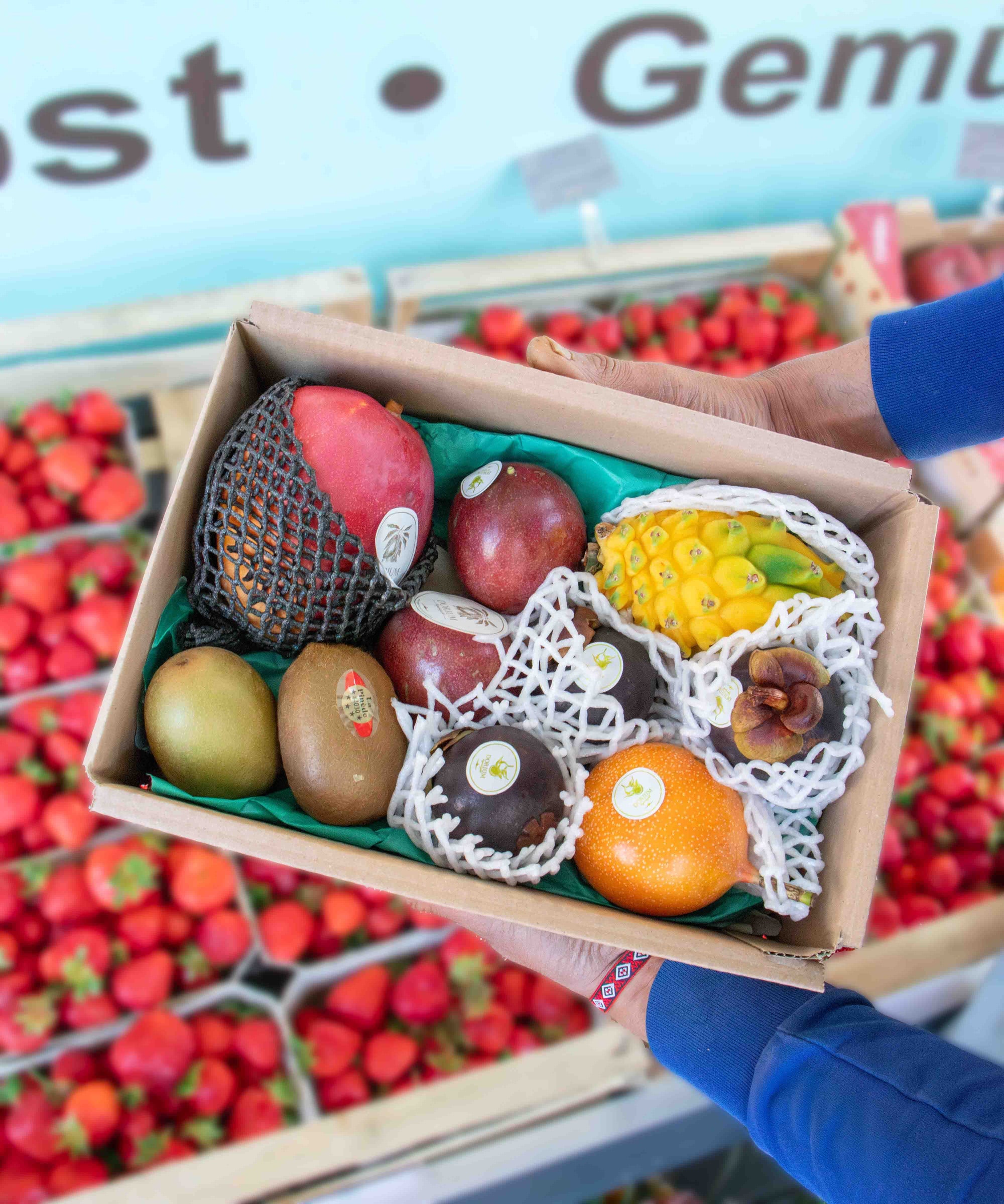 ay früchtebox S