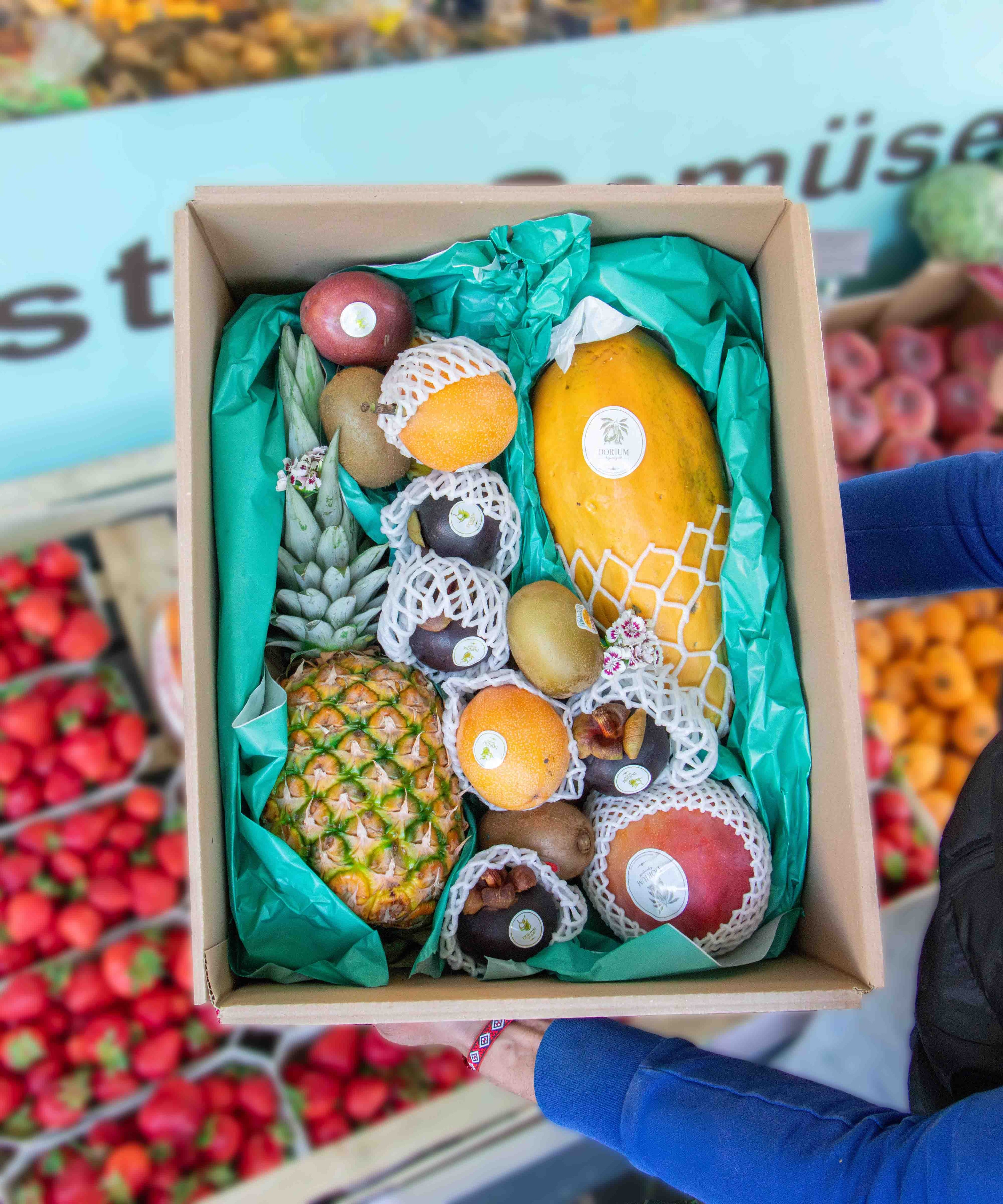 ay früchtebox L
