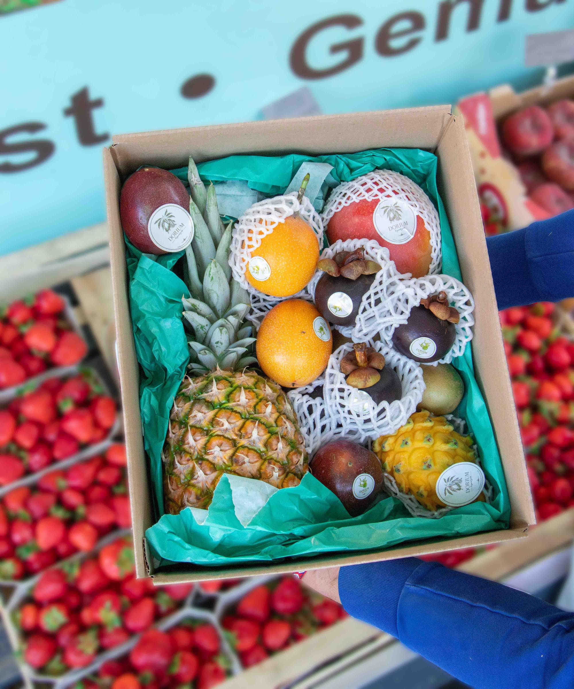 ay früchtebox M