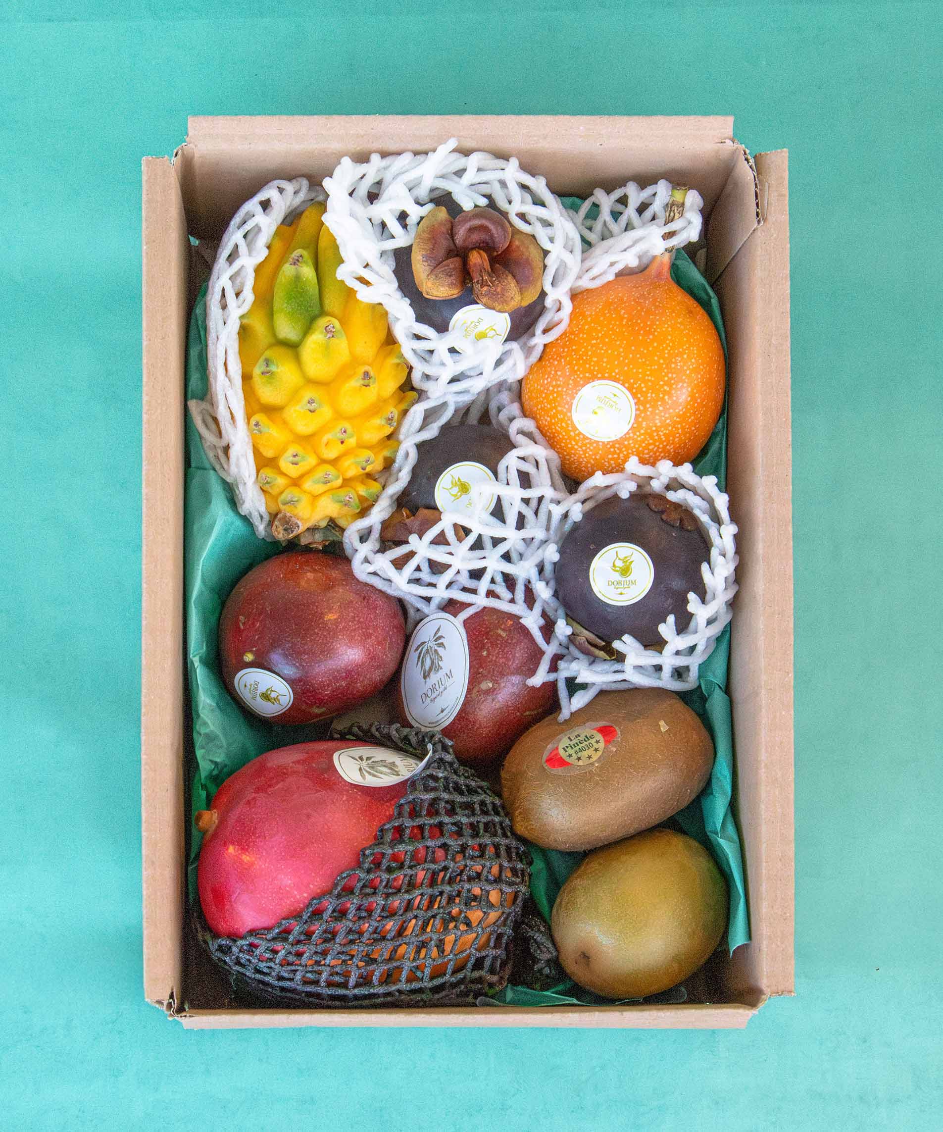 ay früchtebox S