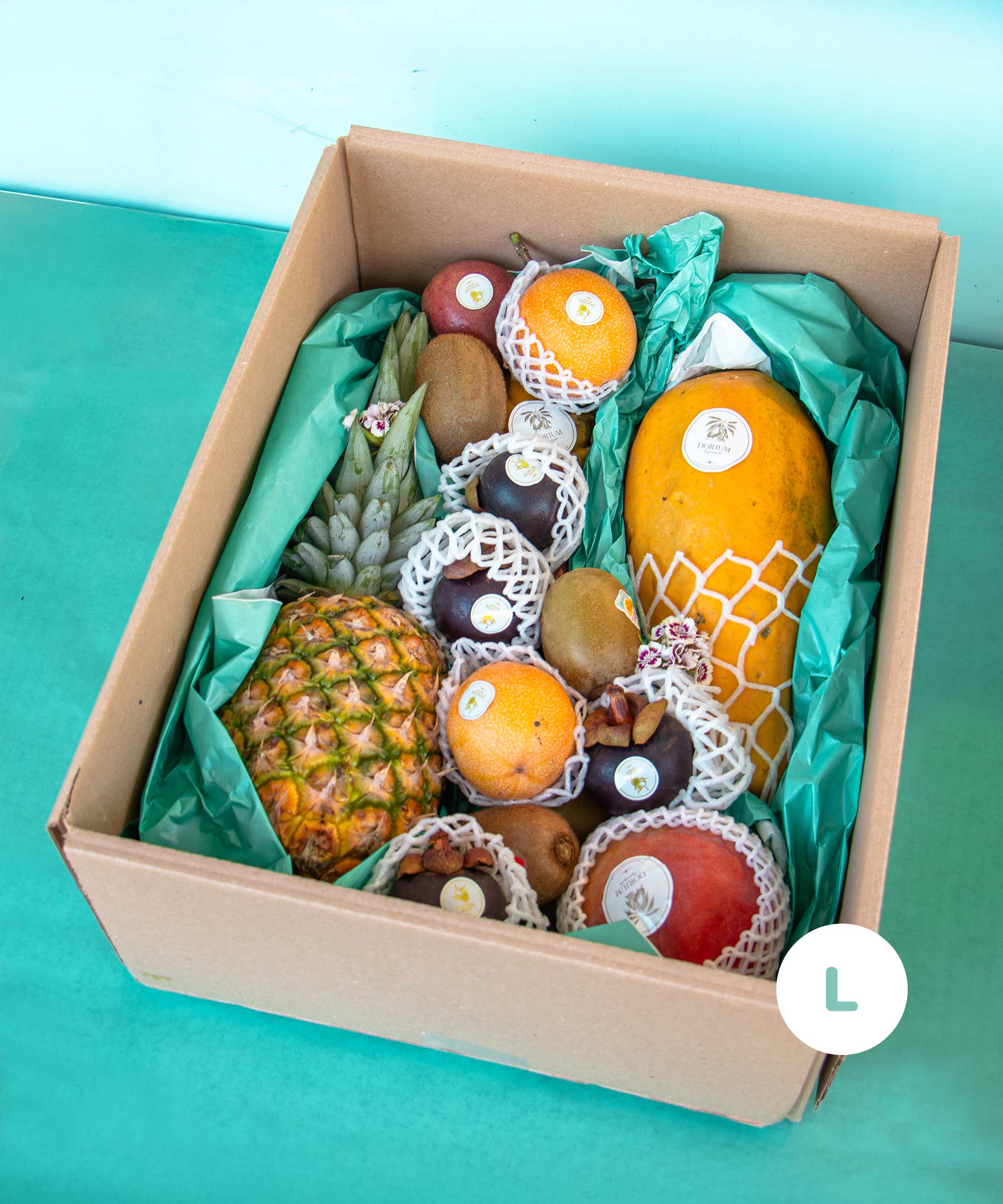 ay früchtebox L