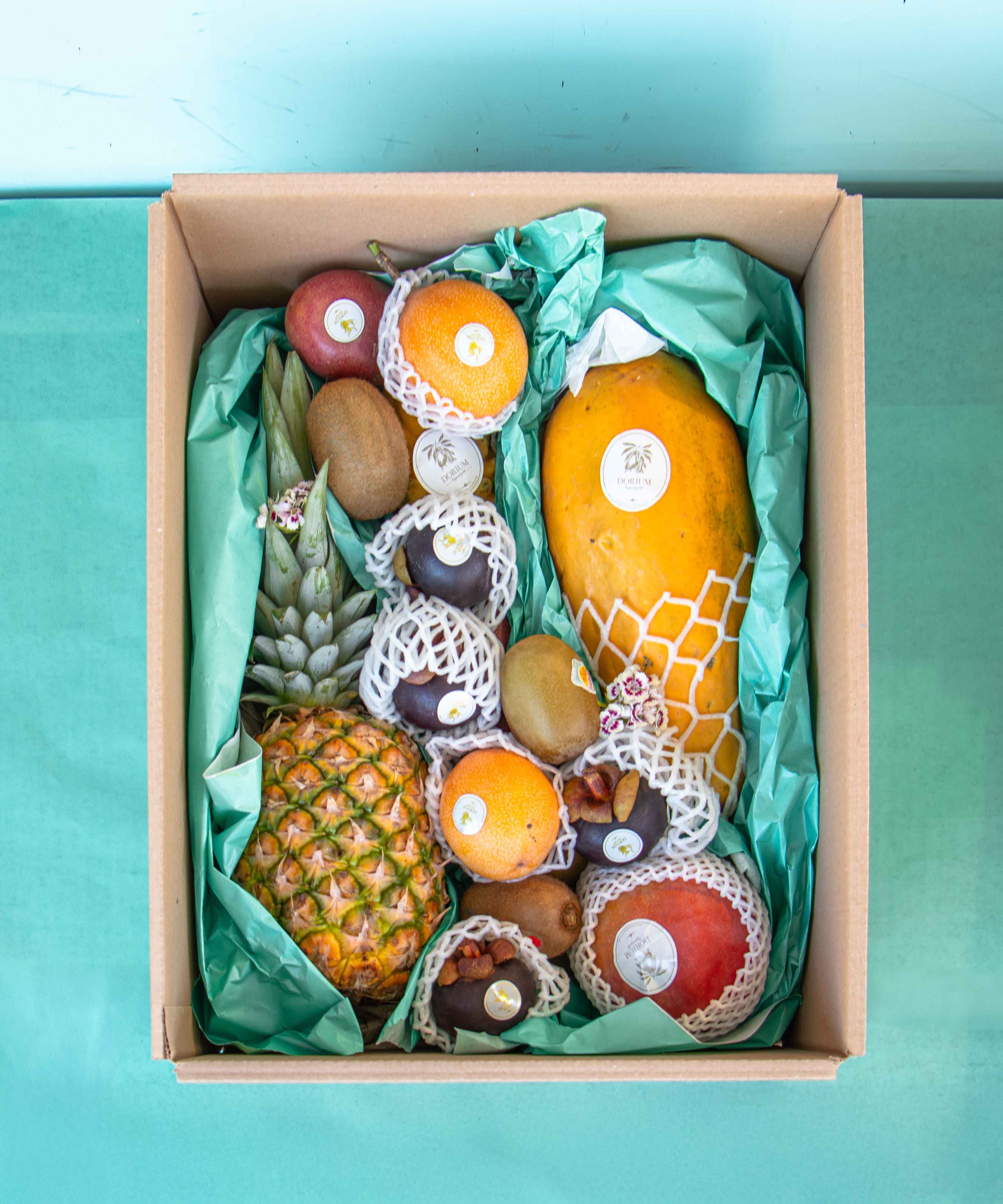 ay früchtebox L